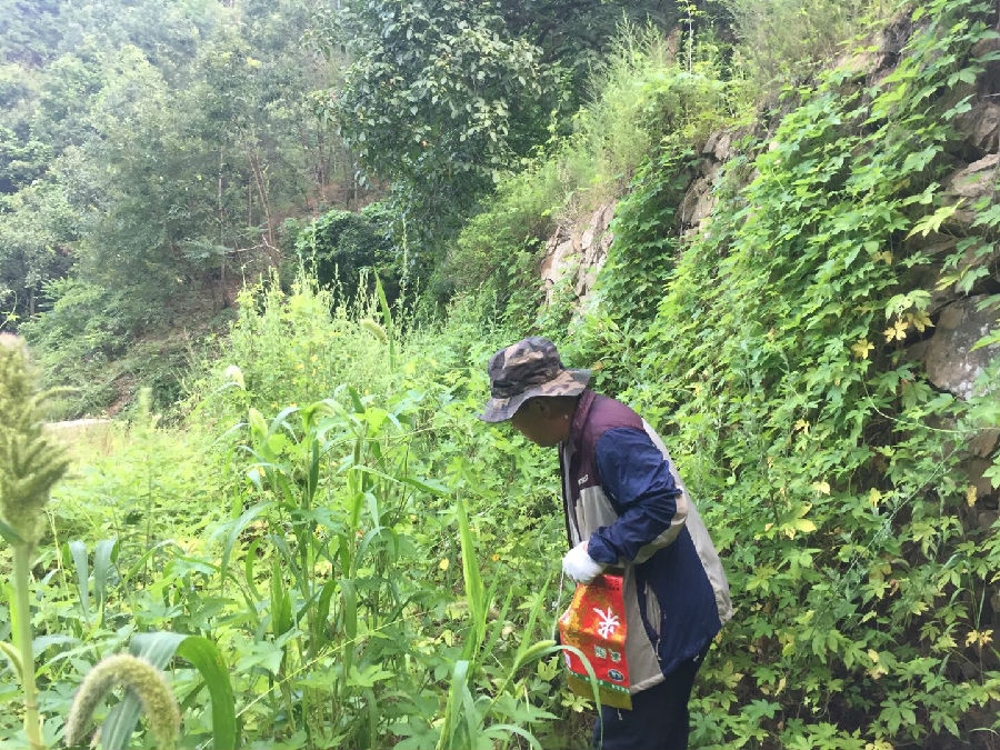 不畏酷暑，决“测”7月(图1)